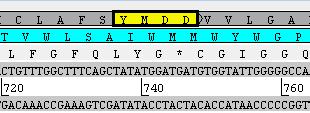 rtm204v HBV-DNA ATA 195