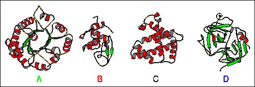 Protein Structure & CD