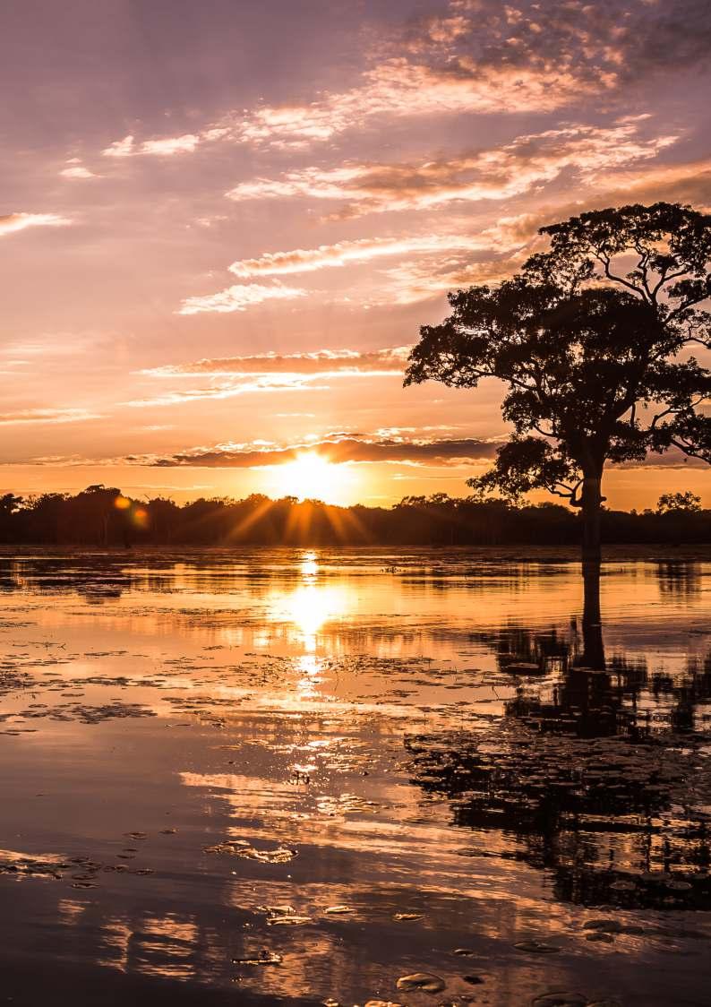 ComlocalizaçãoprivilegiadaaPousadaReserva do Pantanal fica em meio as mais belas paisagenspantaneirasepróximadosprincipais pontosdepescadaregiãodebarãodemelgaço-