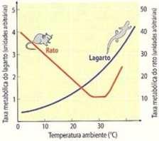 A manutenção da temperatura corpórea é importante porque a hipotermia e a hipertermia causam avarias no funcionamento enzimático. II.