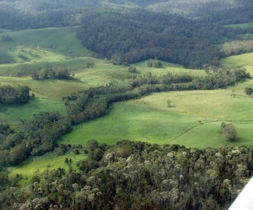 11.1 What are corridors? Corridors are linkages between forests portions, including protected areas and UCs, which allow the flow of genes and movement of biodiversity.