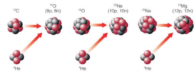 AstroNova. N.17. 2018 Raio Gama Neutrino Próton Nêutron Pósitron Figura 5: ciclo do carbono, ou ciclo CNO. catalizadores (facilitadores das reações), num processo chamado ciclo CNO (figura 5).