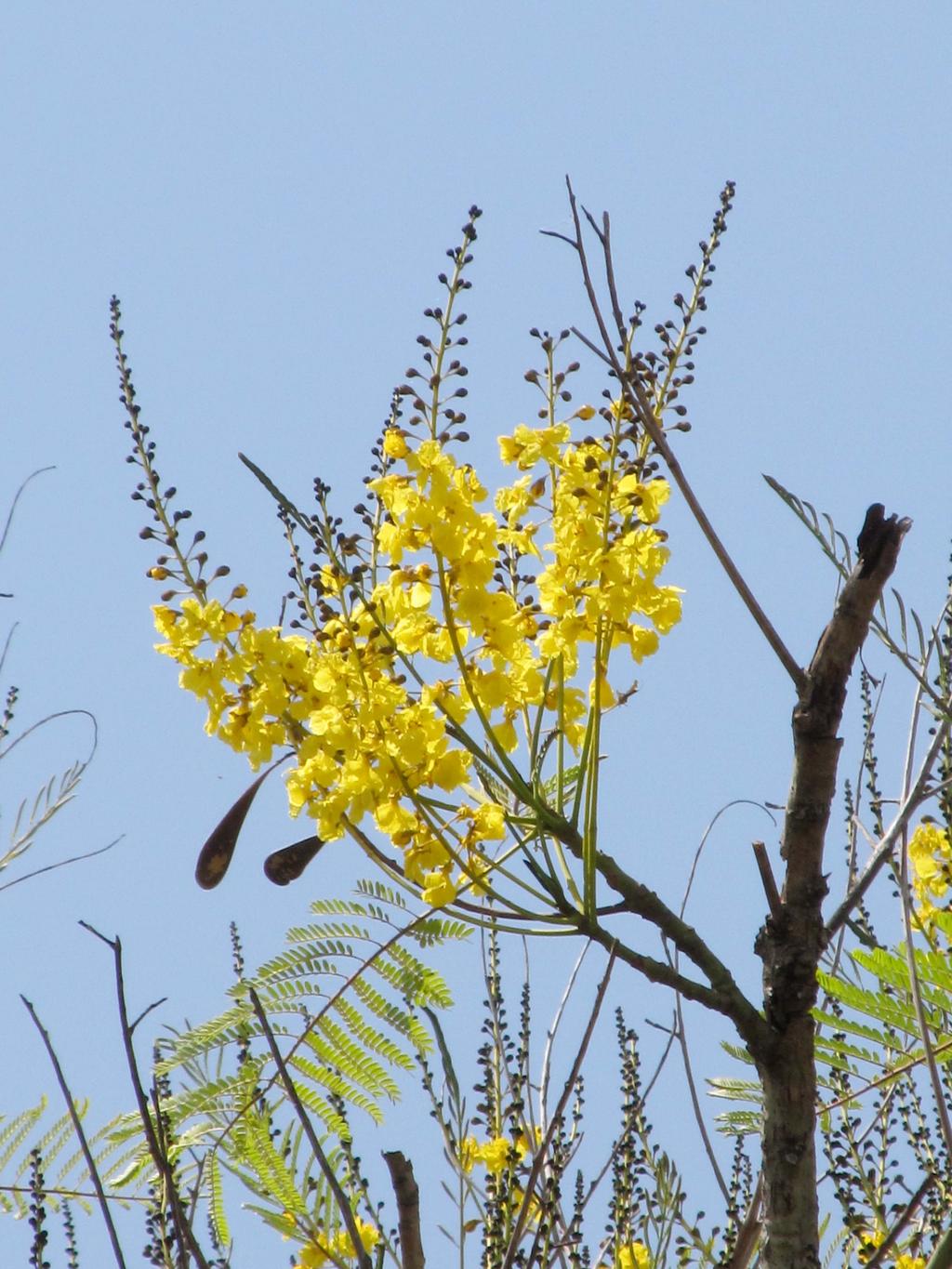 Sul, Santa Catarina, Brasil