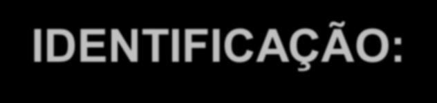 IDENTIFICAÇÃO: O mais importante relatório contábil. Identifica-se com ele, a saúde financeira e econômica (no fim do ano ou qualquer data prefixada).