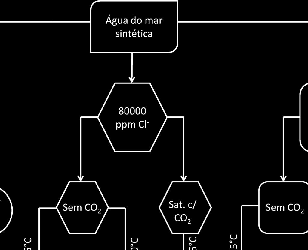 fatores. Tabela 7 Variações dos parâmetros avaliados Cloretoo (ppm) CO 2 Temperatura ( C) 19.