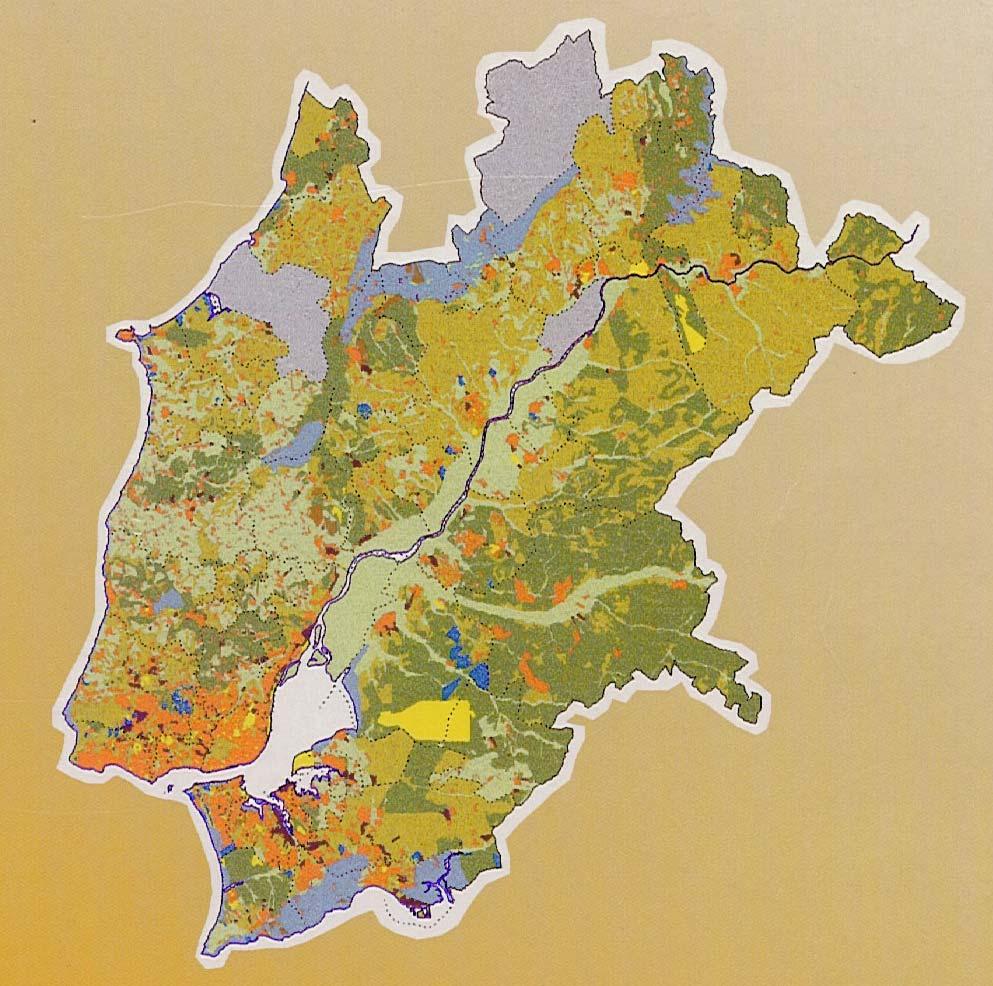 Área de estudo N MONTADO Localização: 20