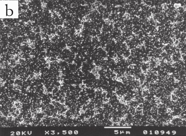Micrografias do filme de Y : a) 3 depósitos intercalados com tratamento térmico a 550 C e b) 2 depósitos
