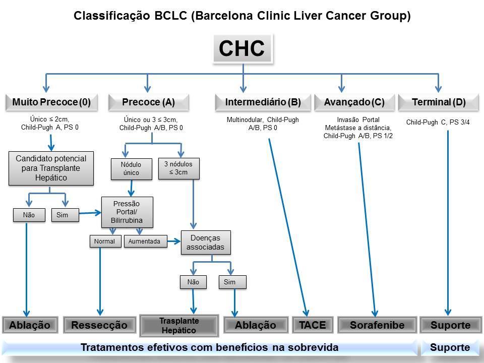 21 Figura 2: Critérios para estadiamento e tratamento do Carcinoma Hepatocelular conforme as diretrizes do Barcelona Liver Clinic Cancer (BCLC). Fonte: Adaptado de BRUIX e colaboradores (2016).