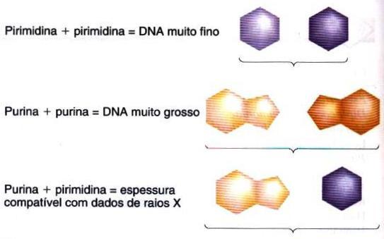 Como funciona?