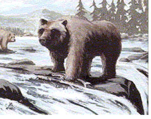 Gerindo o Parque Nacional de Yellowstone O caso dos ursos Uma ursa e as suas três crias atravessaram o gelo do Lago de Yellowstone até à ilha Frank, a 2 milhas da margem.