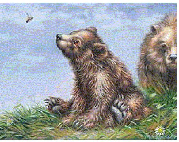 Gerindo o Parque Nacional deyellowstone O caso dos ursos Os responsáveis de