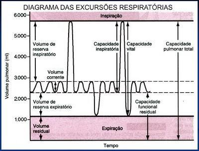 Figura 2: Volume e Capacidades Pulmonares (Fonte: Diretrizes para Testes de Função Pulmonar, SBPT, 2002) Estes volumes, fluxos e capacidades pulmonares podem ser medidos pela espirometria (do latim