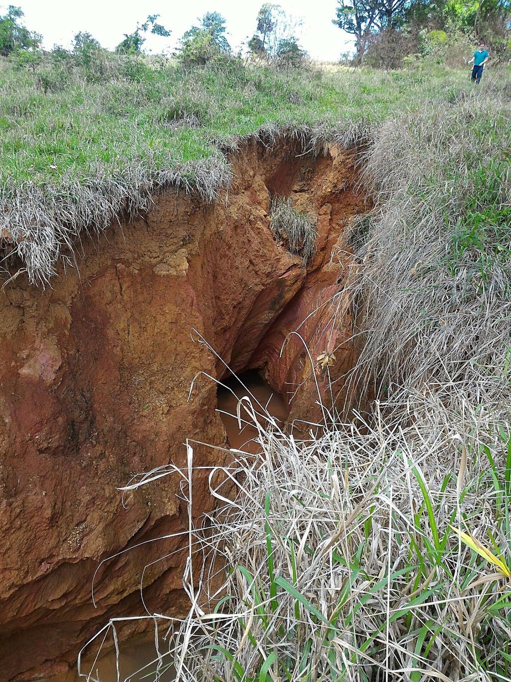 fertilidade nativa, resultando em reservas de nutrientes muito baixas, alta retenção de fósforo pelos minerais óxidos e baixa capacidade de troca de cátions.