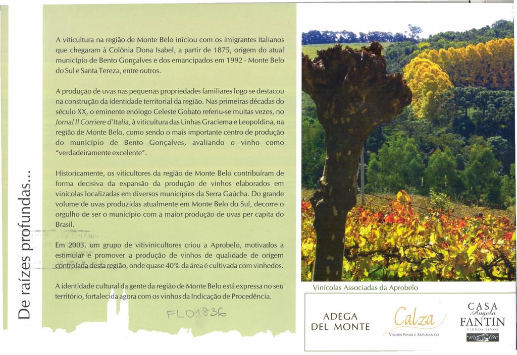 A viticultura na região de Monte Belo iniciou com os imigrantes italianos que chegaram à Colônia Dona Isabel, a partir de 1875, origem do atual município de Bento Gonçalves e dos emancipados em 1992