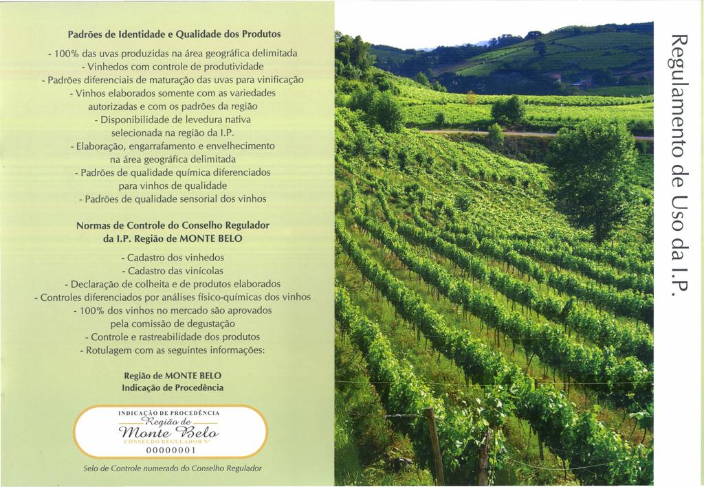 Padrões de Identidade e Qualidade - 100% das uvas produzidas - Vinhedos - Vinhos na área geográfica com controle - Padrões diferenciais autorizadas das uvas para vinificação somente com as variedades