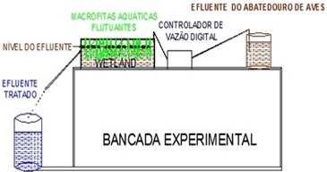 FIGURA 2 Desenho esquemático do processo de tratamento do efluente em Wetland. Fonte: autores.