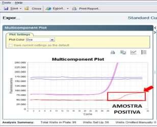 Exemplo de amostra positiva: Se a análise do Multicomponent Plot não for suficiente para esclarecer a dúvida, analisar a tela Raw Data Plot. 3.