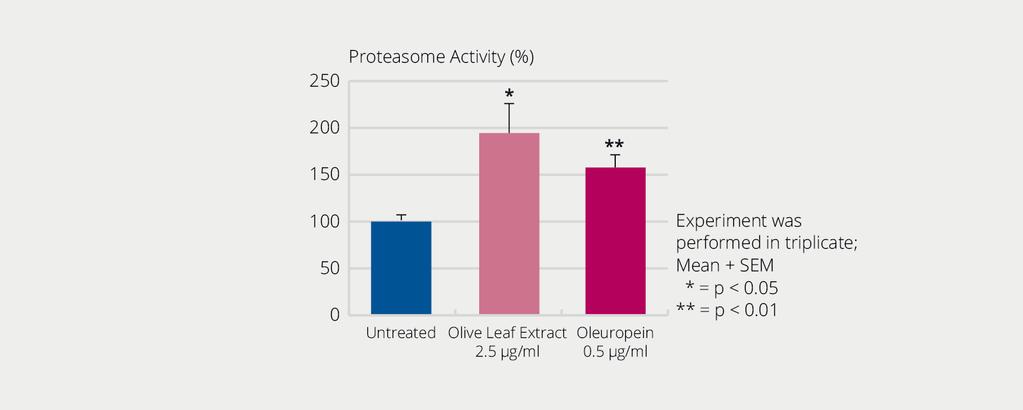 envelhecimento. PROTEOLEA ATIVA O PROTEASSOMA Em um teste in vitro se demonstrou que o tratamento com PROTEOLEA promove a ativação do proteassoma.