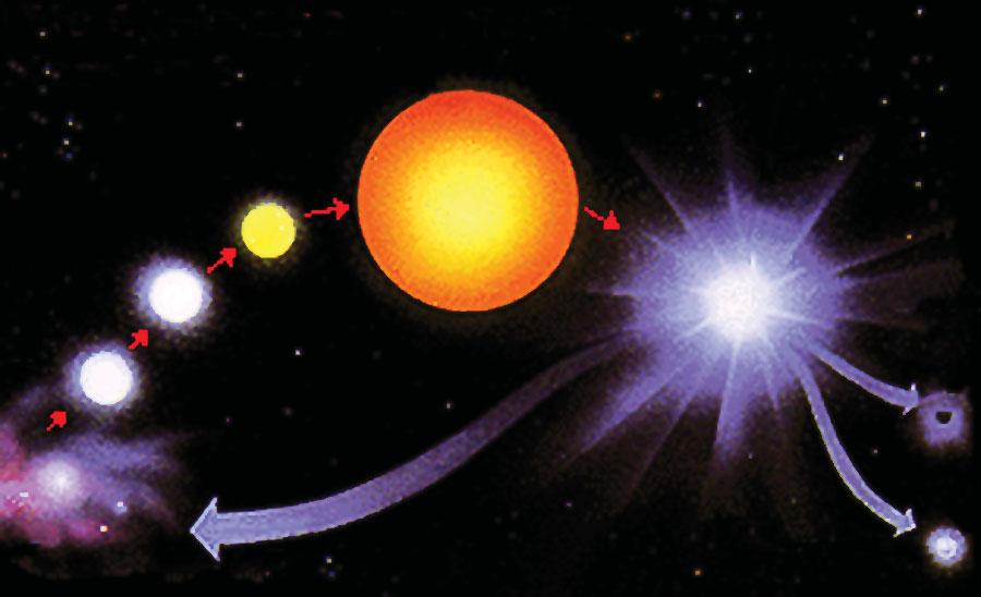 Ciclo de uma estrela massiva Ciclo de uma estrela massiva Supergigante vermelha Supernova tipo II Nuvem molecular material reciclado buraco negro estrela de