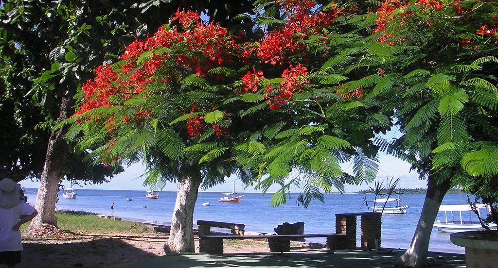 Planejamento Ambiental Biofísico O primeiro município da Ilha de Itaparica foi criado por Decreto Imperial, de 25/10/1831, teve como nome anterior Vila de