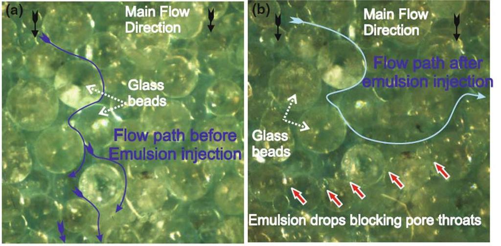 Injeção de Emulsões em Meios Porosos 32 Figura 2-6 Imagens mostrando a mudança nos padrões de escoamento em um meio poroso após a injeção de emulsão (Guillen et al.