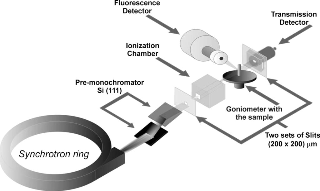 Diffraction enhanced imaging and XRFCT for analyzing biological samples 251 Figure 5. The experimental arrangement for an x-ray fluorescence microtomography measurement using a monochromatic beam.