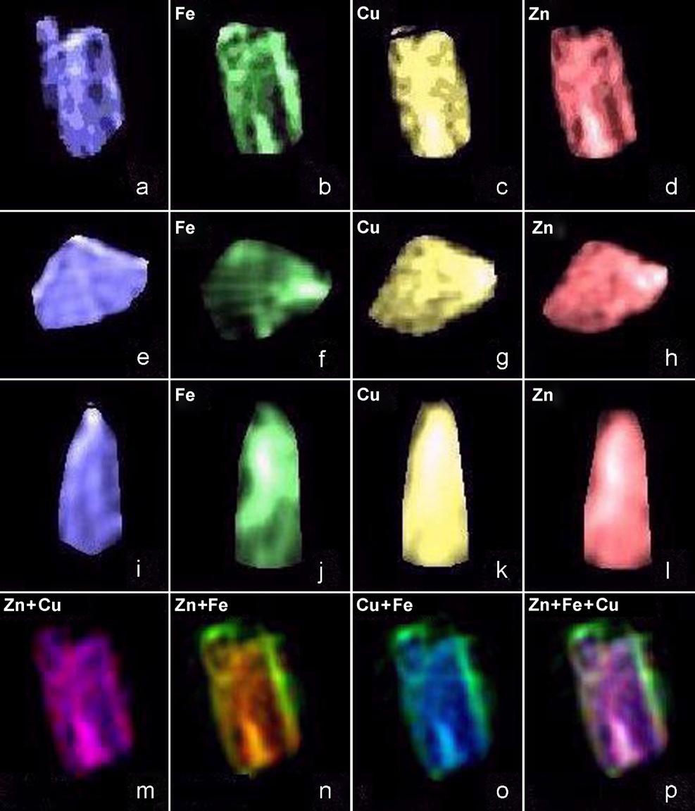 Analyzing the test samples images, it can be observed that the images do not have differences; the images have the same characteristics.