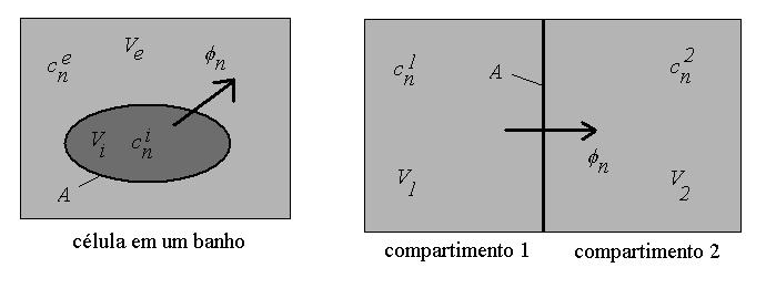 59087 Bofísca II FFCLRP USP Prof. Atôo Roque Aula 4 Fgura da esquerda: esquema de uma célula em um baho.