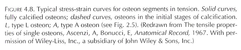 o grau de mineralização não influi muito sobre os osteons tipo A.