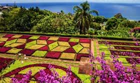 PARTIDAS GARANTIDAS CIRCUITO DA MADEIRA BELEZA NATURAL, CULTURA E GASTRONOMIA VIAGEM EM GRUPO COM GUIA PRIVATIVO CIRCUITO TUDO INCLUÍDO conforme itinerário FUNCHAL CÂMARA DE LOBOS CABO GIRÃO PORTO