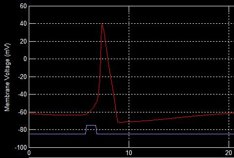 potencial de ação (despolarização, repolarização e hiperpolarização).