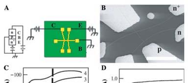 Transistores Bipolares Miniaturização: SiNWs são fortes candidatos Nanotubos de carbono: Limitação experimental Construção (deposição seguida de micromanipulação) Estrutura Comportamento Ganhos: