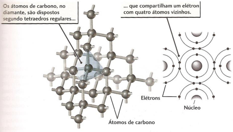 Estrutura