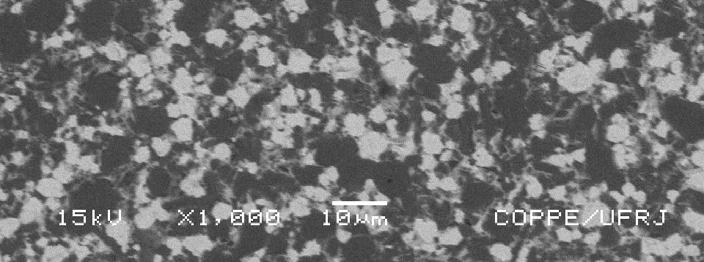 lantânio a b Figuras 51 a e b - Micrografias da superfície