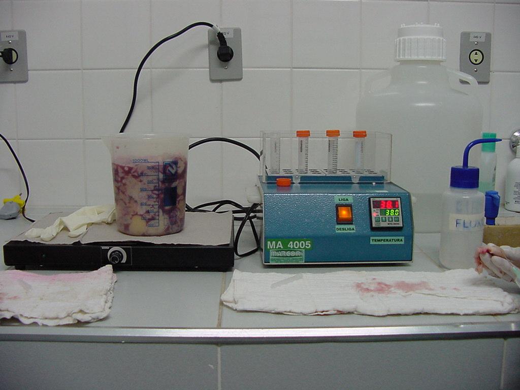Os ovários foram transportados até o laboratório em solução fisiológica aquecida à 37ºC, em recipiente térmico.