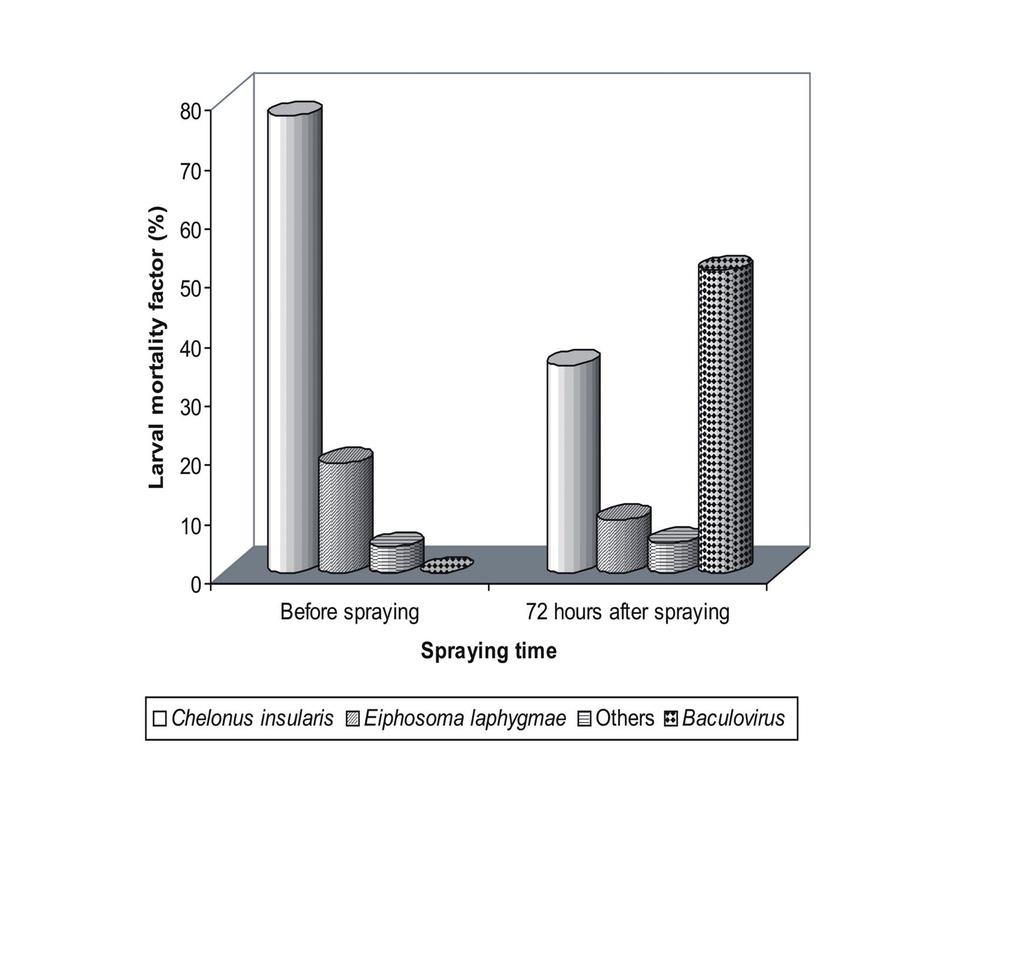 Interaction between... 215 FIGURE 3. Causes of mortality of S. frugiperda larvae in maize plots observed in samples taken before and 72 hours after application of B. spodoptera.