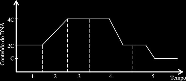 b) apenas Ab e ab. c) apenas Aa e Bb. d) AB, ab, Ab e ab. e) AA, aa, BB e bb.