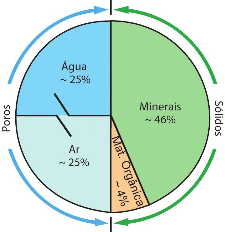 Esquema da composição do horizonte A de um solo quando em boas condições para o crescimento