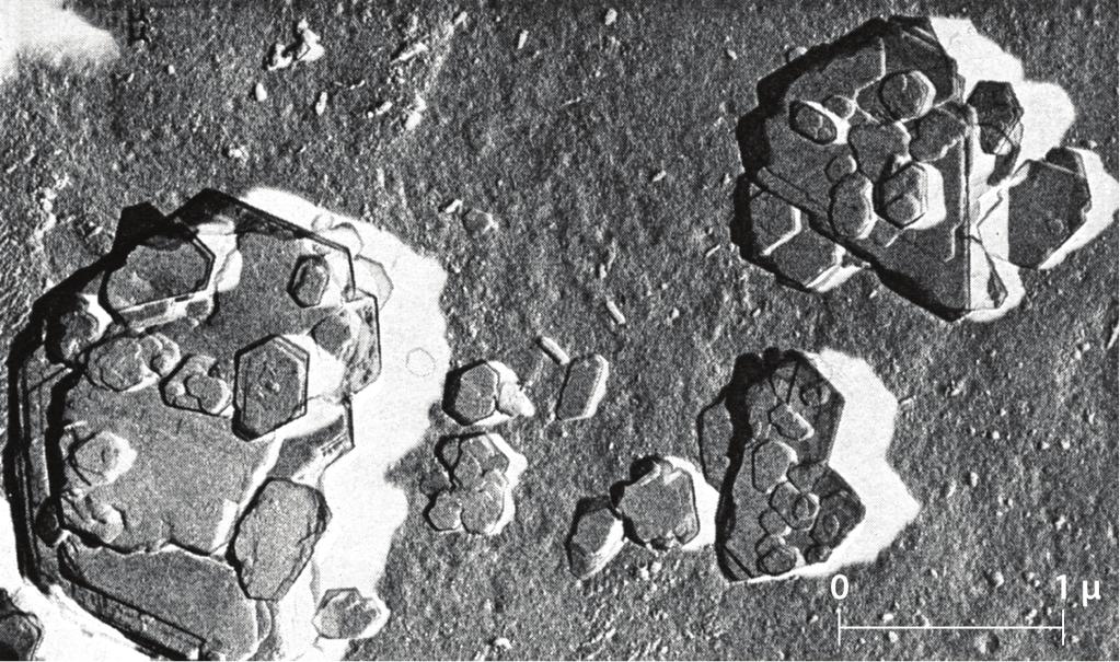 Partículas de argila caulinítica vistas sob microscópio eletrônico.