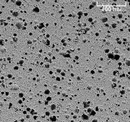 Figura 6 Microscopia Eletrônica de Varredura - 50% de sólidos em volume.