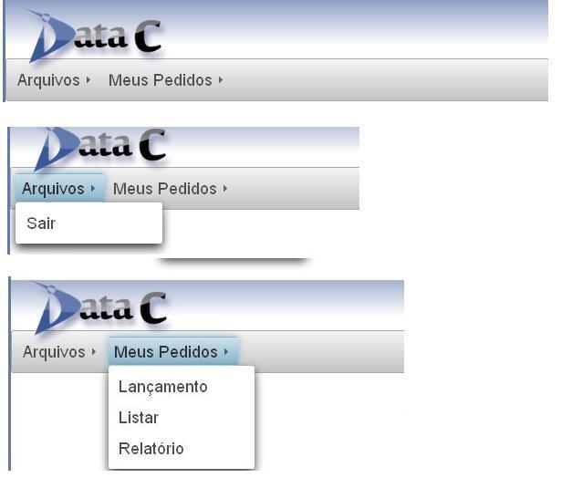 2- Acesso do Representante 2.1- Menu O Acesso às funcionalidades do sistema é feita através de uma barra menus (Fi gura 3). Figura 3 2.1.1- Arquivos > Sair Ao acessar o item sair do menu Arquivos o usuário efetua logoff no sistema.