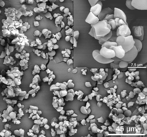 varredura a: 20 µm; b: > 10 e < 20 µm;