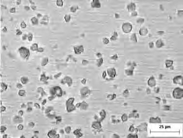 normal a: integral; b: 20 µm;