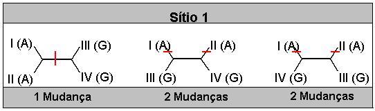 Como para esse exemplo consideram-se somente árvores sem raiz, existe apenas uma topologia possível, conforme mostra a Figura 3.