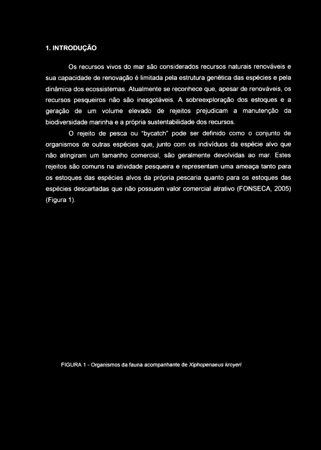 A sobreexploração dos estoques e a geração de um volume elevado de rejeitos prejudicam a manutenção da biodiversidade marinha e a própria sustentabilidade dos recursos.