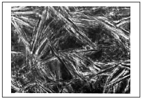 57 Figura 24: Micrografia de contraste de fase de um destilado médio de petróleo (350-375 C).