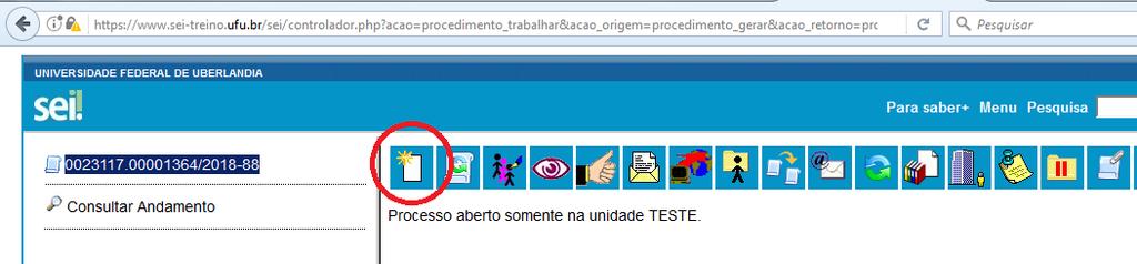 Será criado o processo, com o número 23117.