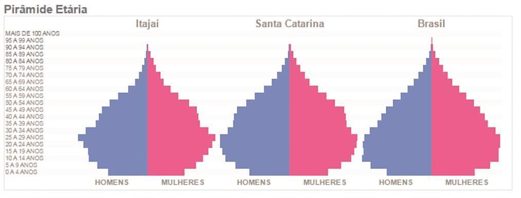 mobilidade adaptado a uma população com necessidades específicas, apesar dos expressivos ganhos em qualidade de vida nos últimos anos.