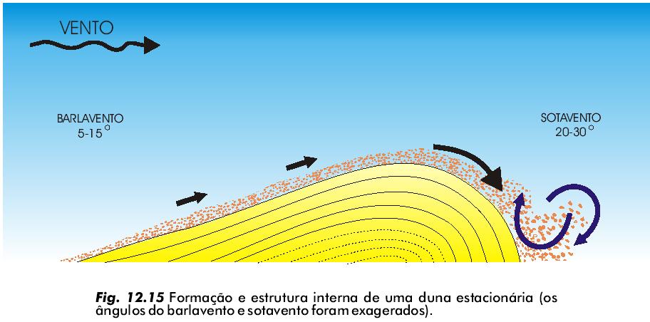 REGISTROS DEPOSICIONAIS PRODUZIDOS PELO VENTO Dunas (Dune): Acumulação de areia originada pelo vento, onde existe areia solta sem cobertura vegetal cerrada, o que ocorre normalmente nas