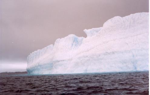 fragmentação de icebergs e deflação) Ablação - Processo que leva à